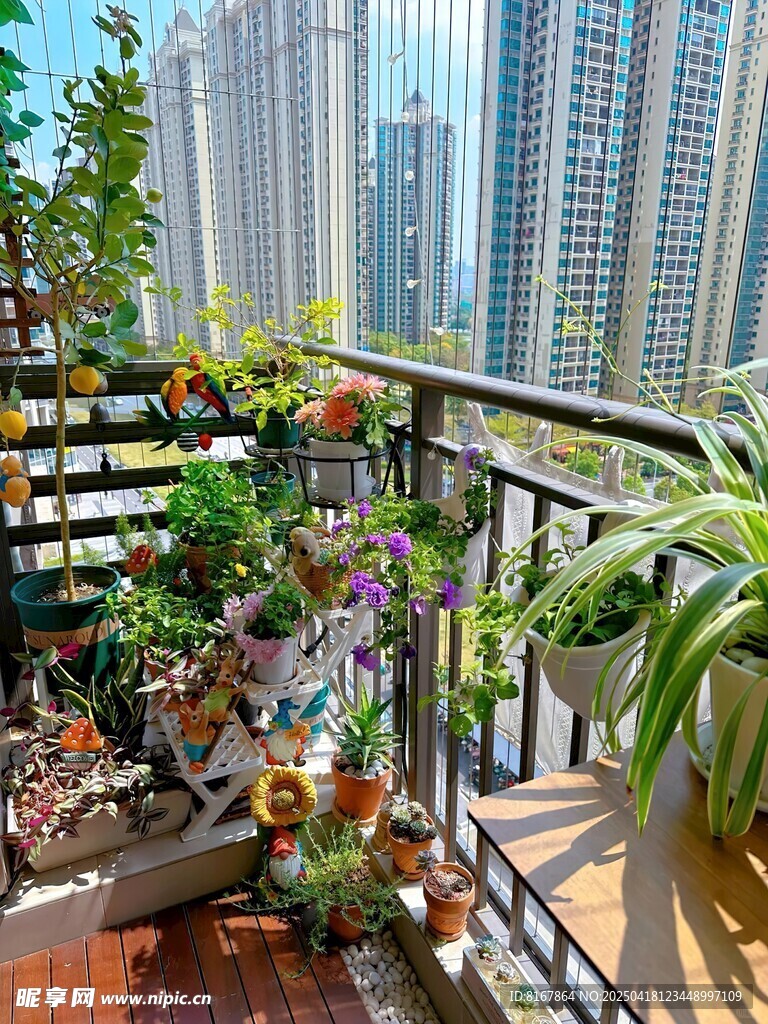 城市阳台的多彩绿植世界