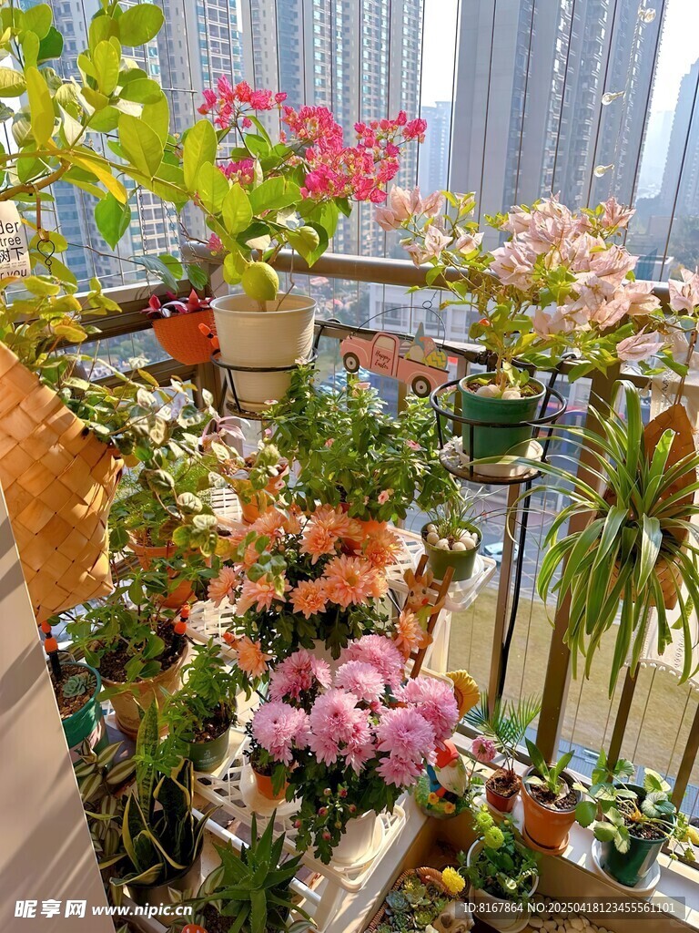 阳台缤纷花卉景观