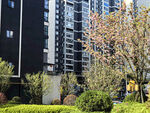 城市住宅区绿植景观