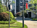 城市中整洁的绿化街道景观