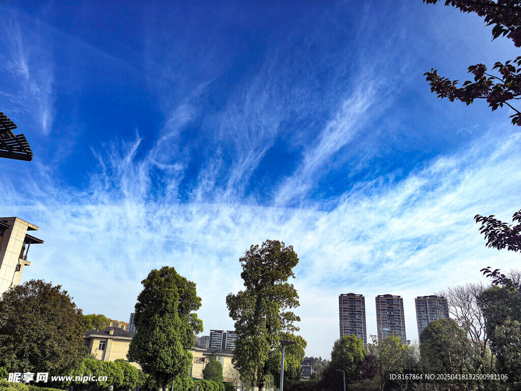 蓝天绿树间的城市景致