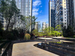 城市中的静谧公园景观