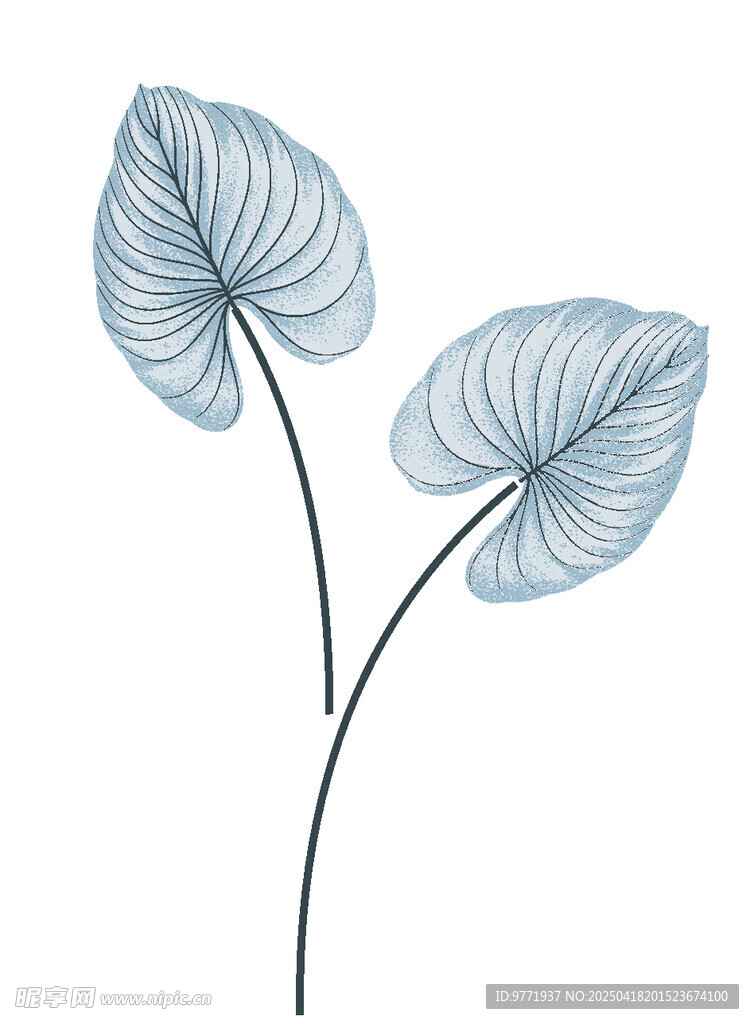 蓝叶植物插画