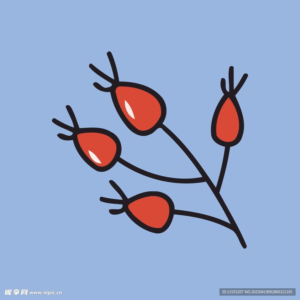 手绘红色浆果枝条图案