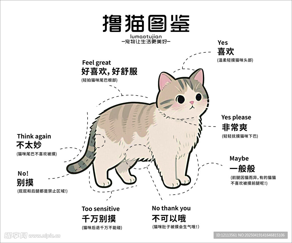 撸猫图鉴之猫咪姿态展示