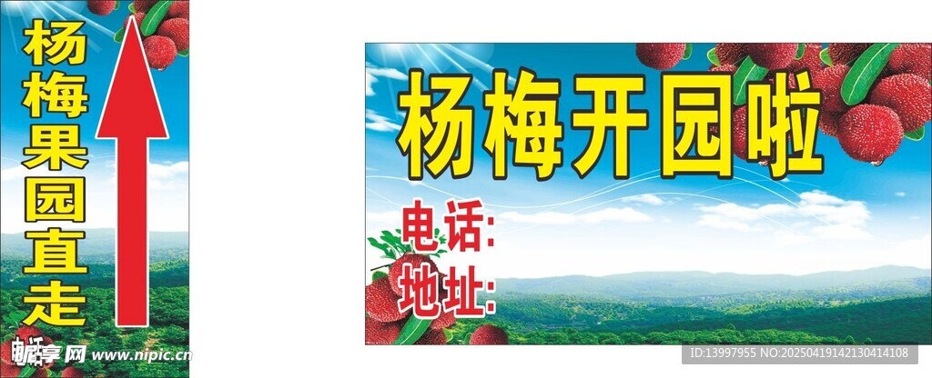 杨梅开园啦