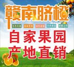 赣南脐橙