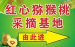 红心猕猴桃 采摘基地