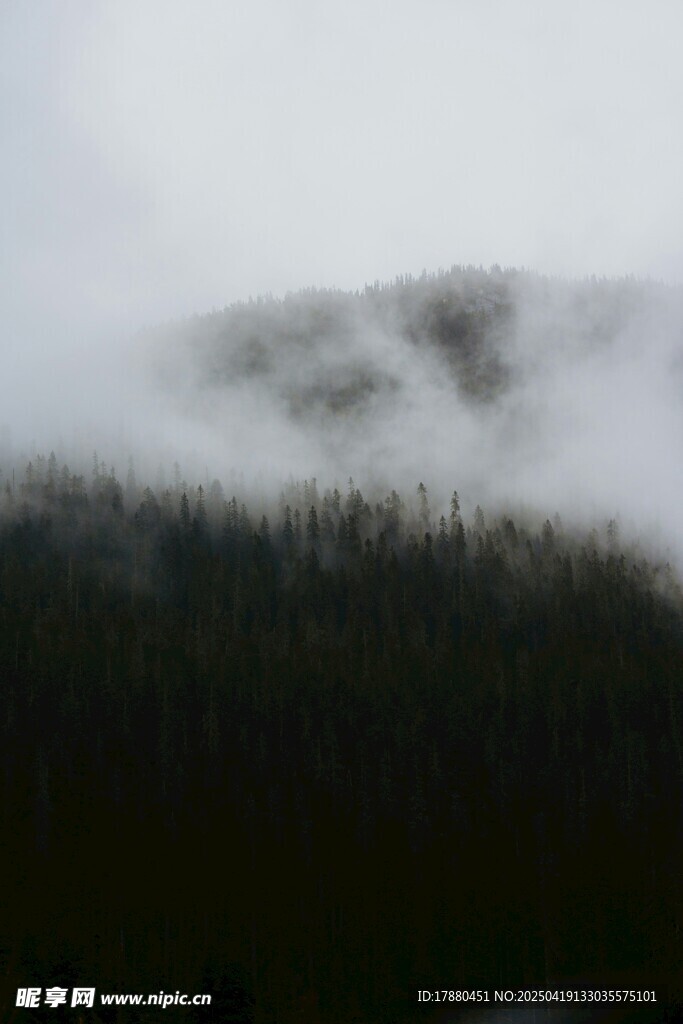 山林