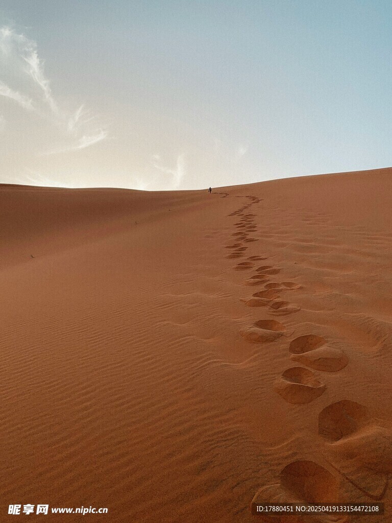 沙漠