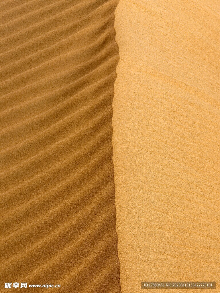 沙漠