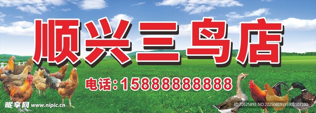 顺兴三鸟店招牌展示