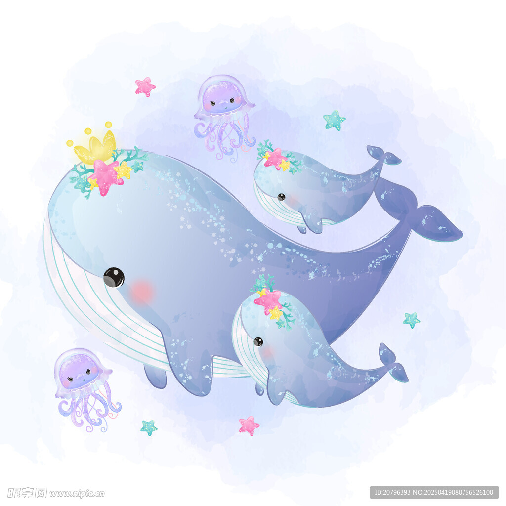 梦幻鲸鱼一家的海底奇遇
