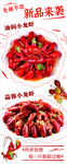 小龙虾 麻辣鲜香  海鲜美食