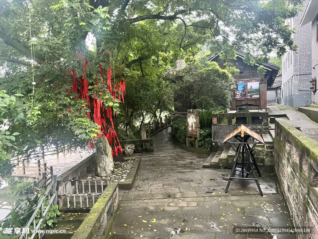 古巷绿荫下的闲适角落
