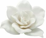 栀子花