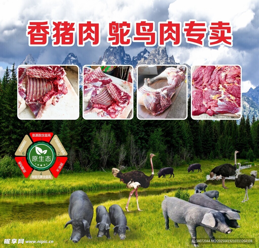 香猪肉鸵鸟肉专卖