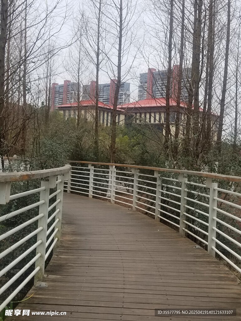 玉顺湖林间木栈道 城市远景相伴