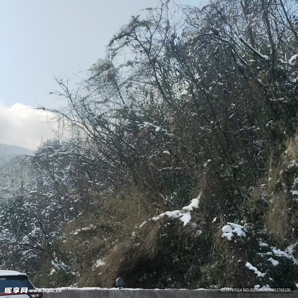 雪覆山林边的车辆景象