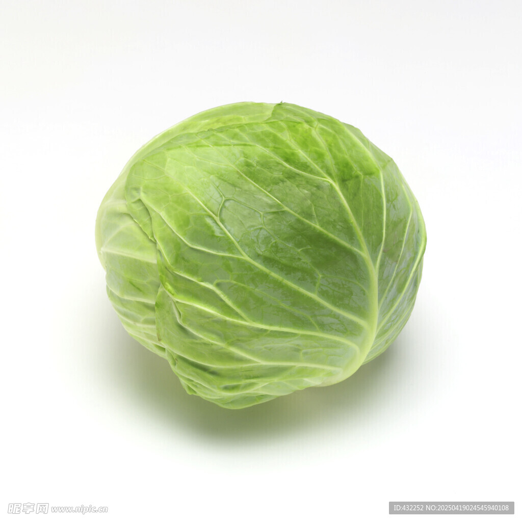 新鲜圆白菜