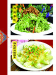 肉丝苦苣 蒜蓉粉丝娃娃菜菜牌
