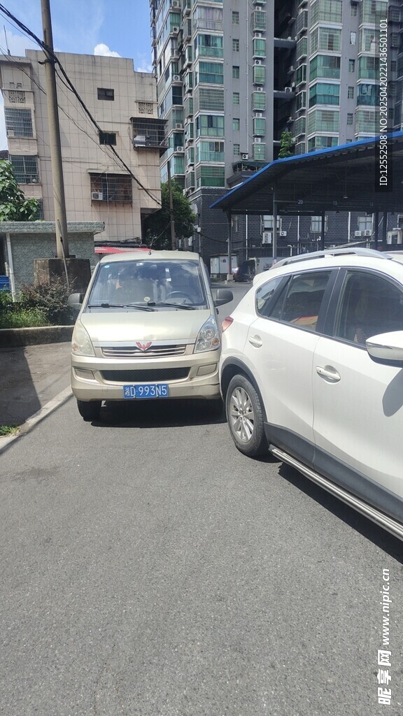 路边停放的两辆白色汽车