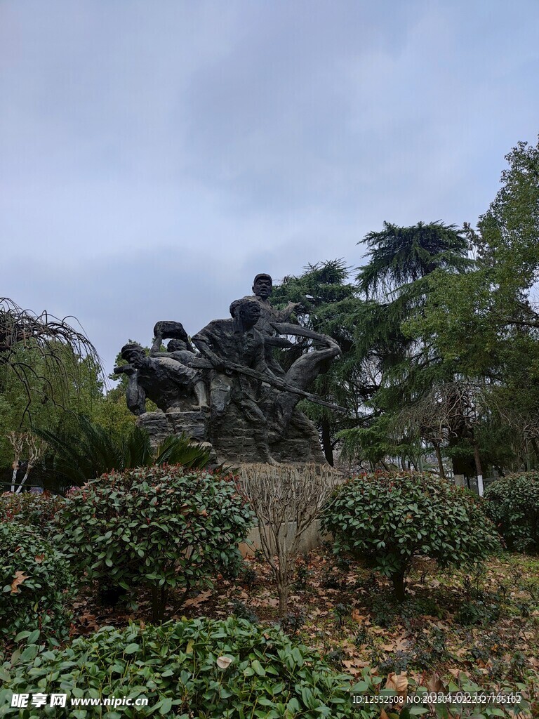 户外骑行者穿梭于绿植间