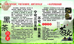 黑茶历史