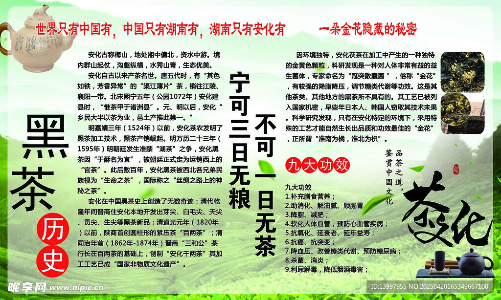 黑茶历史
