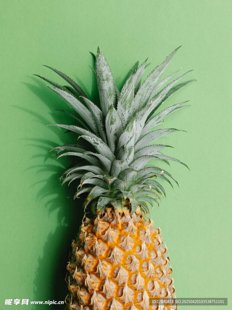 菠萝