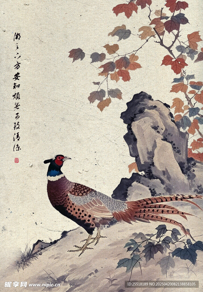 国画锦鸡