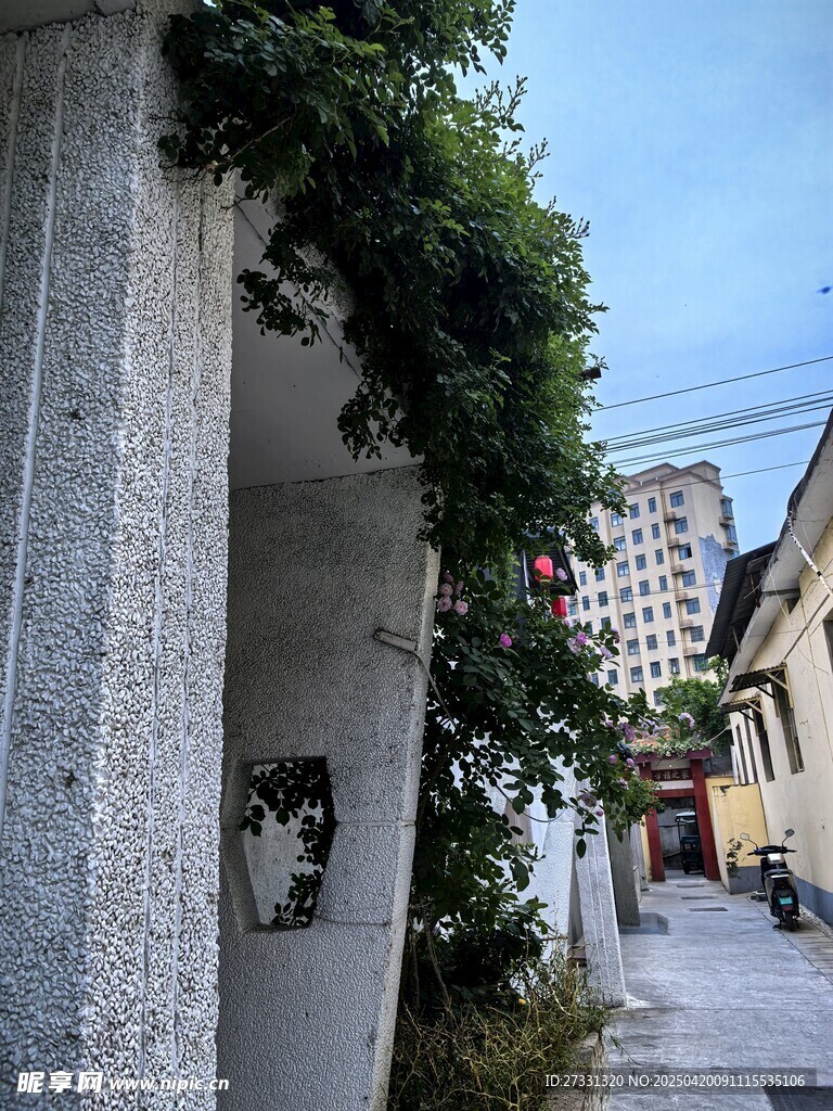 石廊绿植下的静谧街道