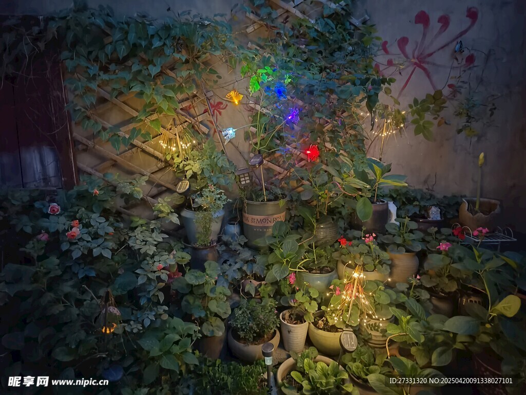 梦幻灯光下的绿植景观