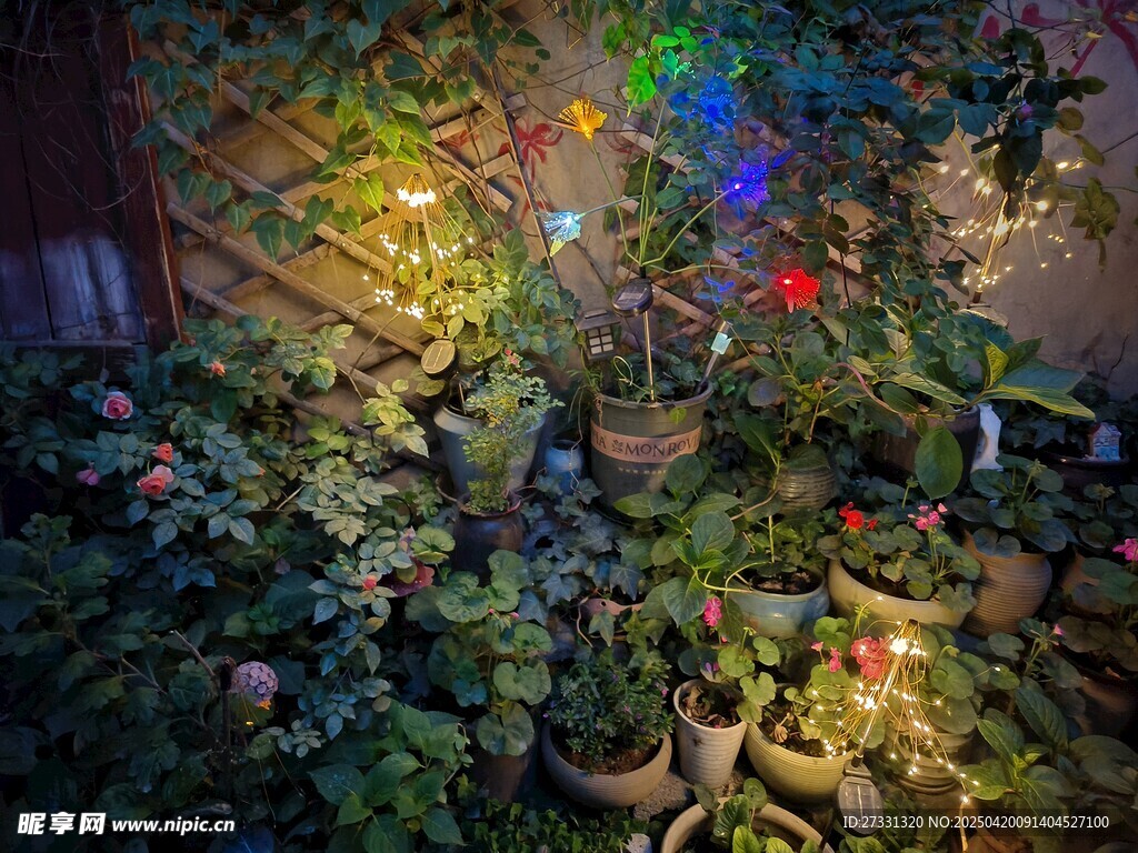 花园夜景