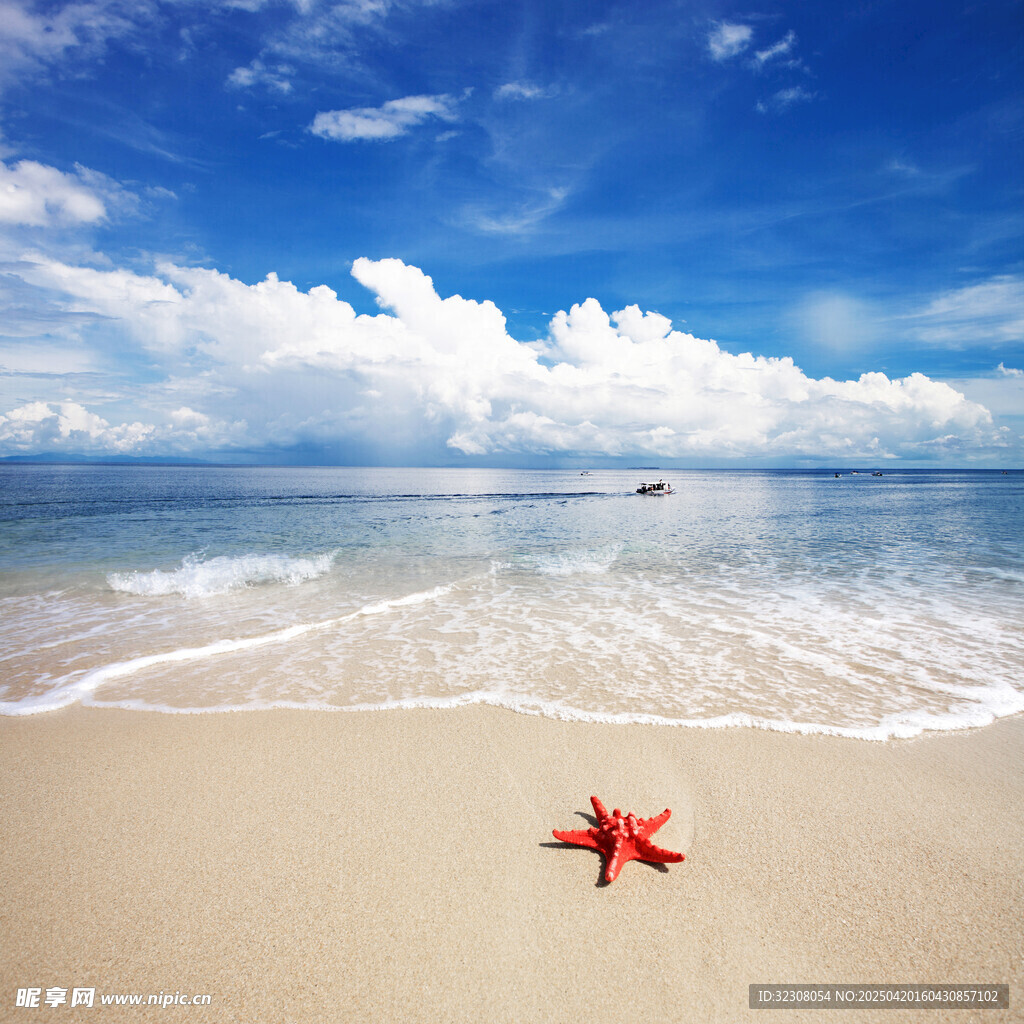 沙滩上的红色海星与海景