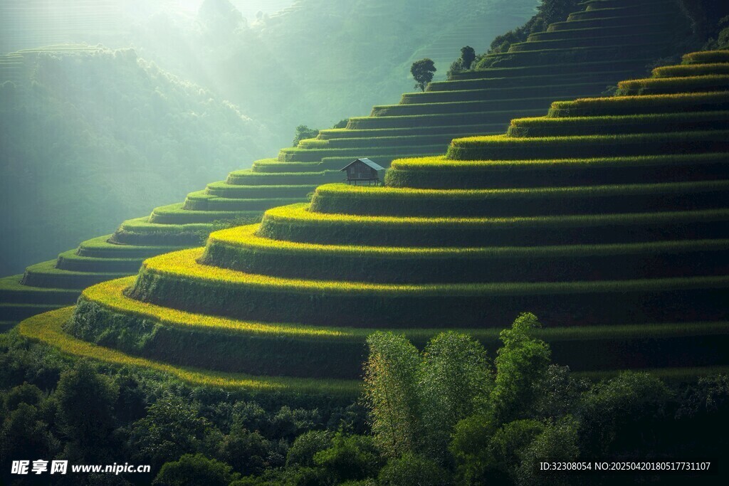 壮丽梯田景观