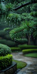 静谧园林小径绿植景观