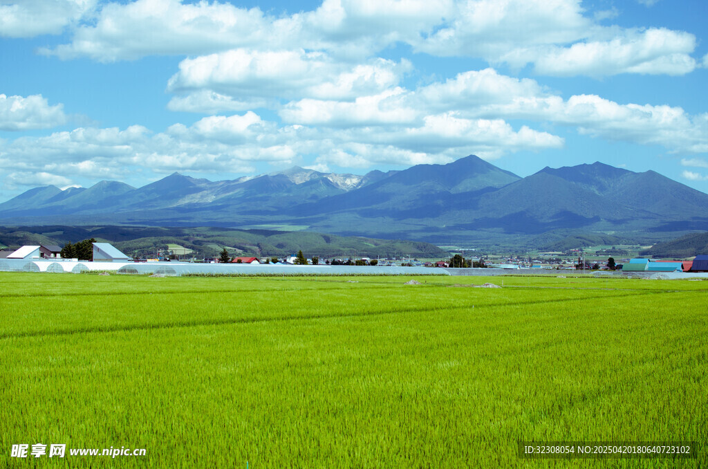 绿色田野与远处山峦美景