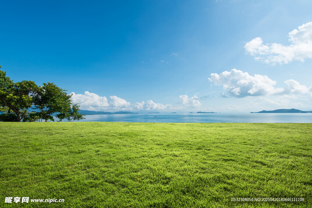 广袤绿草地与蓝天海景