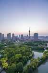 城市绿意景观俯瞰图