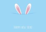 新年兔子贺岁图