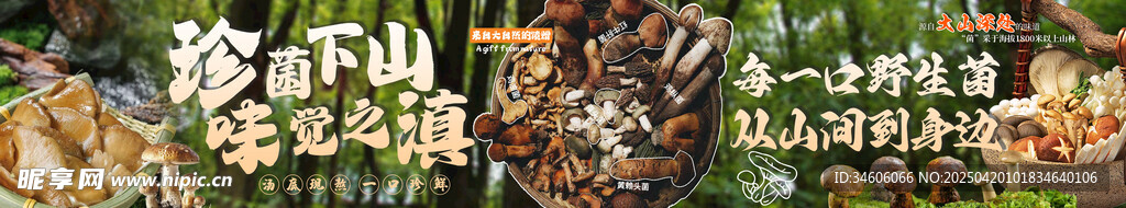 野生菌