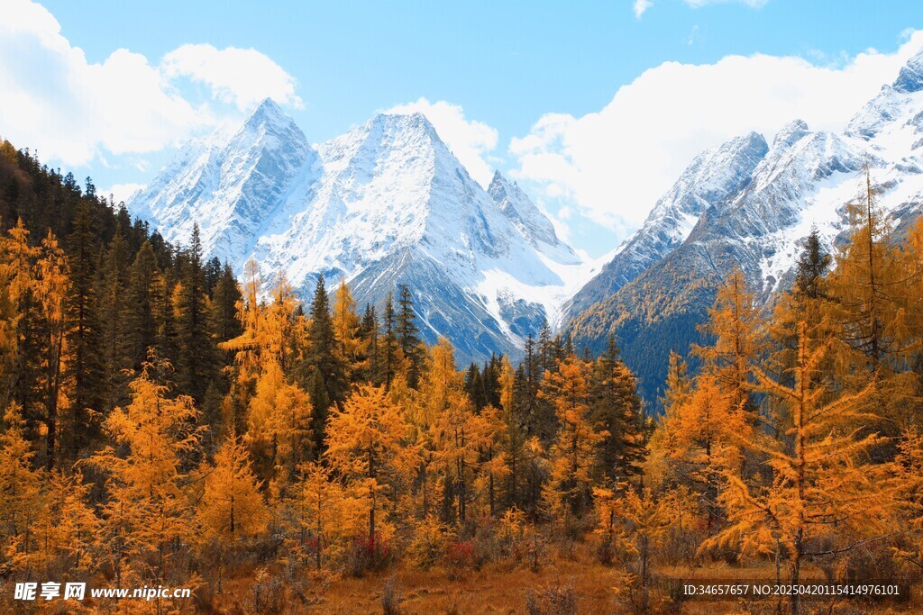 秋日山林与远处雪山美景