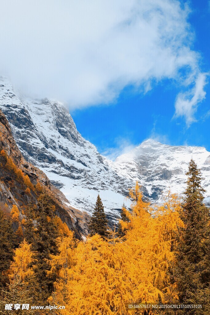 秋日雪山下的绚烂山林