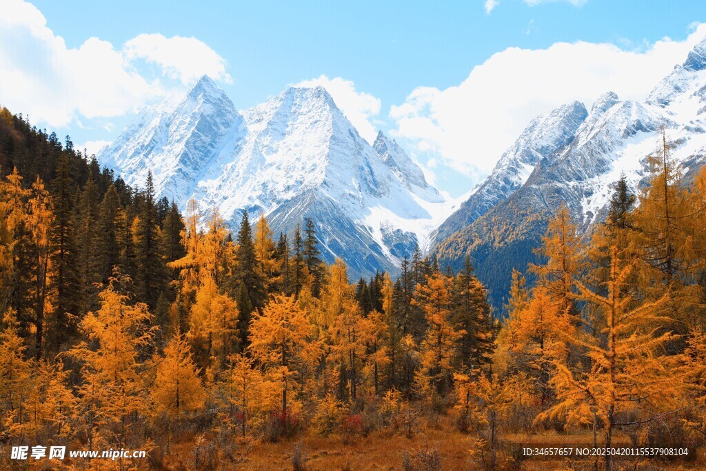 秋日山林间的雪山美景