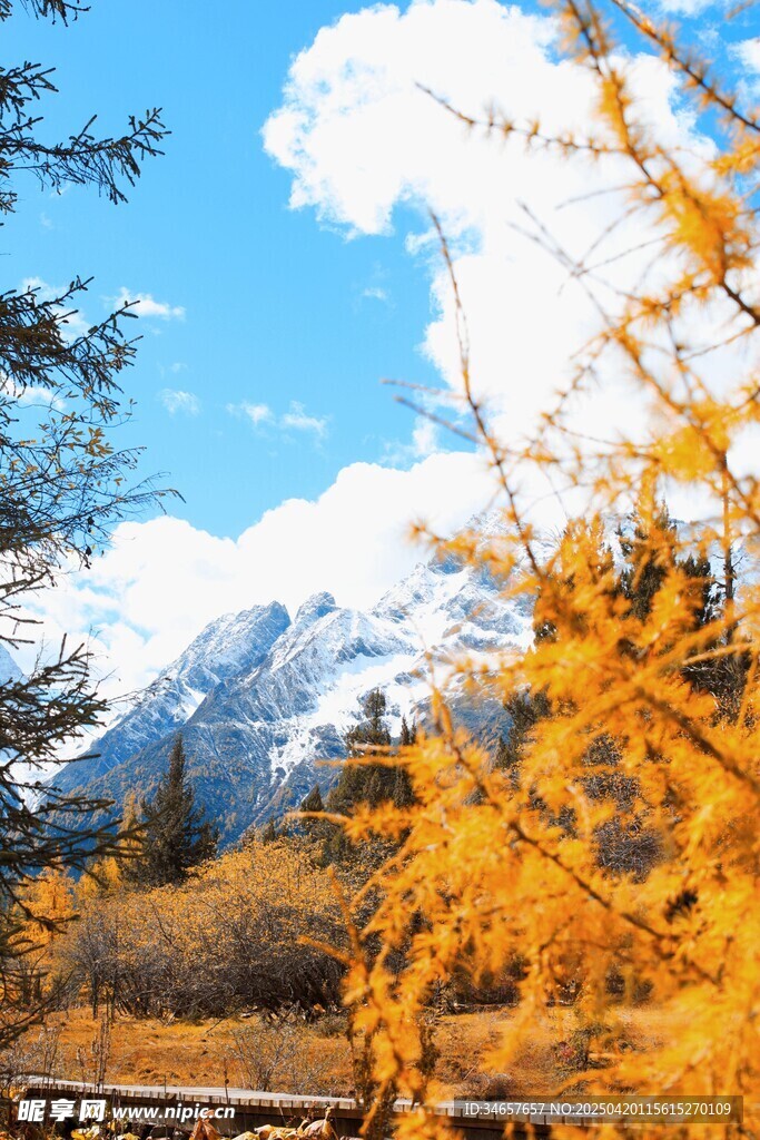 秋日山林美景