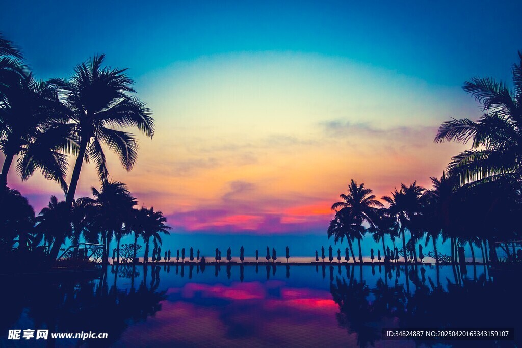 梦幻海滨椰林日落美景