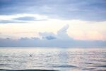 海上日出美景