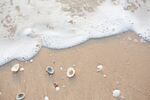 沙滩上的海浪与散落贝壳