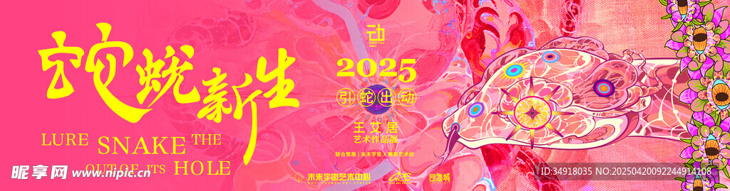 绽放的多彩花卉